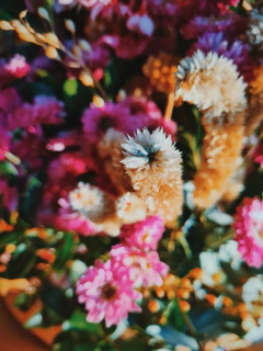 flores para el corazón V