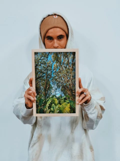 un bosque tropical - comprar online