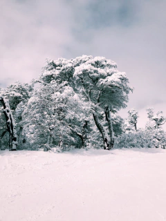 dame este blanco siempre