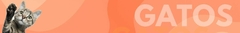 Banner de la categoría Gatos