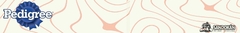 Banner de la categoría Pedigree