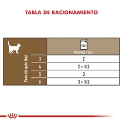 ROYAL CANIN - Ageing 12+/ Humedo - 12 x 85 gr en internet