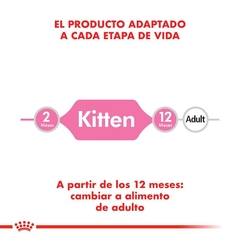 ROYAL CANIN - Kitten/ Humedo - 12 x 85 gr en internet