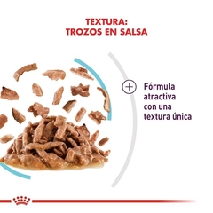 ROYAL CANIN - Sensory™ Feel / Humedo - 12 x 85 gr en internet