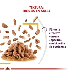 ROYAL CANIN - Sensory™ Taste/ Humedo - 12 x 85 gr en internet