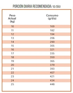 NUTRIQUE - Medium Young Adult Dog - 3 kg - comprar online