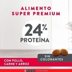 EXCELLENT - Adult / Razas medianas y grandes - 20 kg - comprar online