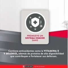 EXCELLENT - Adut / Razas pequeñas hasta 7 años - 15 kg - SANDOKAN