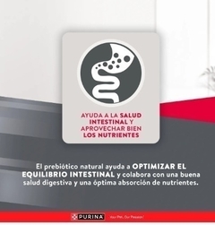 EXCELLENT - Adut / Razas pequeñas hasta 7 años - 15 kg - tienda online