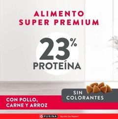 EXCELLENT - Adult Mantenimiento / Todos los tamaños - 20 kg - comprar online