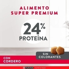 EXCELLENT - Skin Care - 15 kg - comprar online