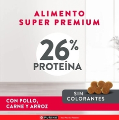 EXCELLENT - Senior / Todos los tamaños - 3 kg - comprar online