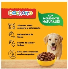 PEDIGREE - Cachorro En Salsa Sabor Carne - 12 X 100 gr en internet