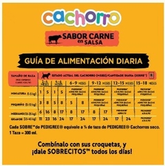 PEDIGREE - Cachorro En Salsa Sabor Carne - 12 X 100 gr - SANDOKAN