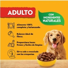 PEDIGREE - Adulto En Salsa Sabor Carne - 12 X 100 gr - comprar online