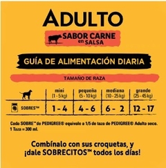 PEDIGREE - Adulto En Salsa Sabor Carne - 12 X 100 gr en internet