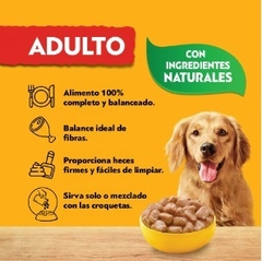 PEDIGREE - Adulto En Salsa Sabor Pollo - 12 X 100 gr - comprar online