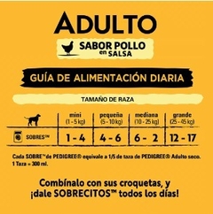 PEDIGREE - Adulto En Salsa Sabor Pollo - 12 X 100 gr en internet