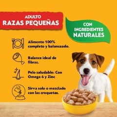 PEDIGREE - Adulto razas pequeñas Salsa Sabor Carne - 12 X 100 gr - comprar online