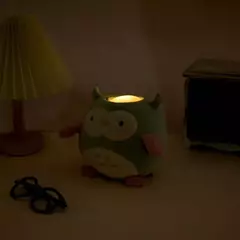 Brinquedo Luminoso Coruja Metoo na internet