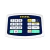 Balanza Systel Flaier Plus 30 Kg en internet