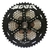 Piñon AWA 12V 10-50T Micro Spline Casette - comprar online
