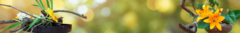 Banner da categoria Vaso Ikebana