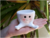 VASO CACHEPOT MINI COM PERNINHA KIT 4UN P/SUCULENTA E CACTO - comprar online