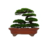 VASO BONSAI CERAMICO ESMALTADO 17X14X04CM
