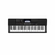 Teclado Casio CT-X700 61 Teclas 8 Octavas Sensitivo Midi