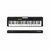 Teclado musical Casio Casiotone CT-S100 61 teclas- Midi - comprar online