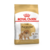 Royal Canin - Pomerania Adulto