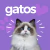 Banner de Gran Mascota Mx