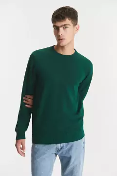 Sweater Classic Crewneck Verde - Levis - comprar online