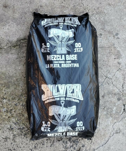 SILVER SUSTRATO BASE 80LTS