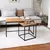 Coffee table 3003