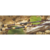 Caña St. Croix Mojo Bass 6´8 10-17 Lb Bait - Señuelo Dorado - comprar online