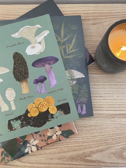 Cuaderno tapa blanda