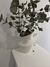 Florero waves