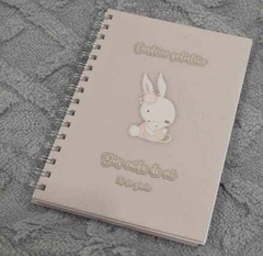 Cuaderno pediátrico en internet