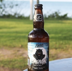 LOMBISOME - Saison - (12 uni) - Delivery Kairós