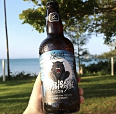 LOMBISOME - Saison - (12 uni) na internet