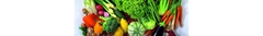 Banner da categoria PROCESSADORES DE ALIMENTOS
