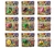Blister Plantas vs Zombies. Lanza pelotas - comprar online