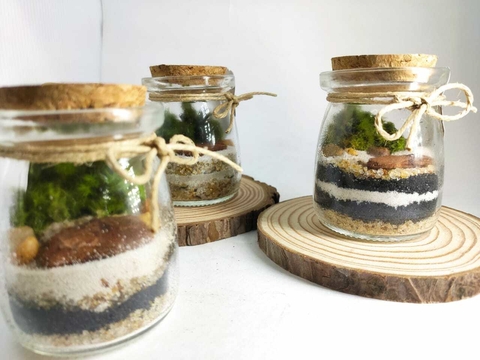 Mini Paraíso rústico - kit com 10 unidades