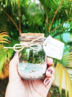 Mini Paraíso - kit com 10 unidades - Jardim no Traço