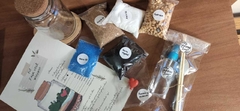 KIT DIY - Faça você mesmo - Terrários - comprar online