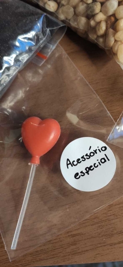 KIT DIY - Faça você mesmo - Terrários - Jardim no Traço