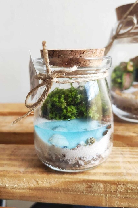 Mini Paraíso - kit com 10 unidades