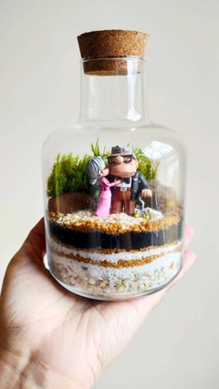 Terrário Up - Carl e Ellie - comprar online